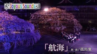 vol.45「天理高校弦楽部～しだれ桜ライトアップ」『航海』