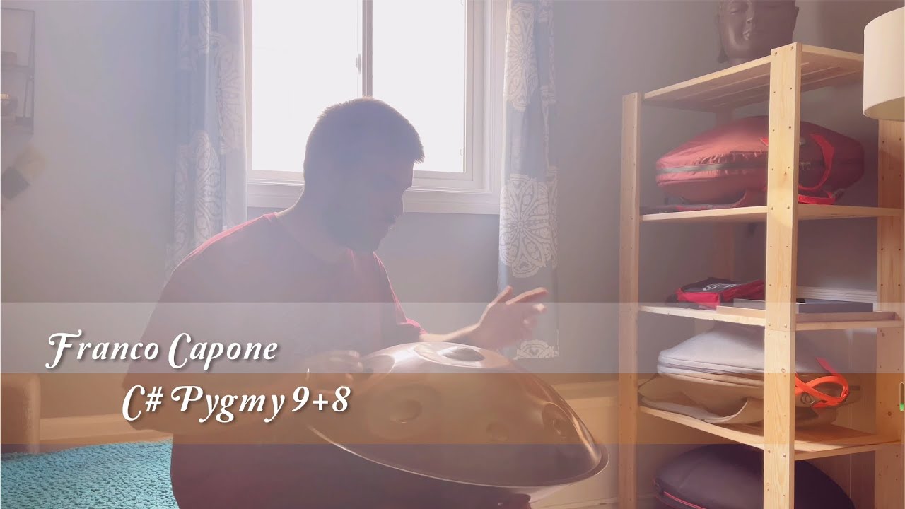 MrPans handpan - C# Pygmy 9+8 - Franco Capone