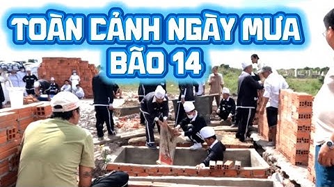 Toàn Cảnh Buổi Sáng Tại Cực Lạc ngày Bão .(9*11*2025)