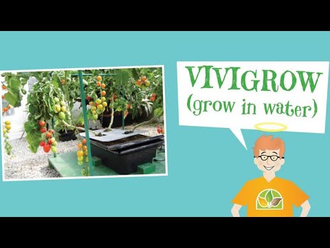 Vivigrow Hydroponic Planter - FAQ