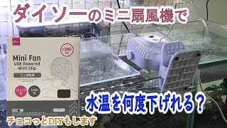 【アクアリウム】ダイソーのMini Fanで30㎝キューブ水槽の水温を何度下げられるか検証してみます！