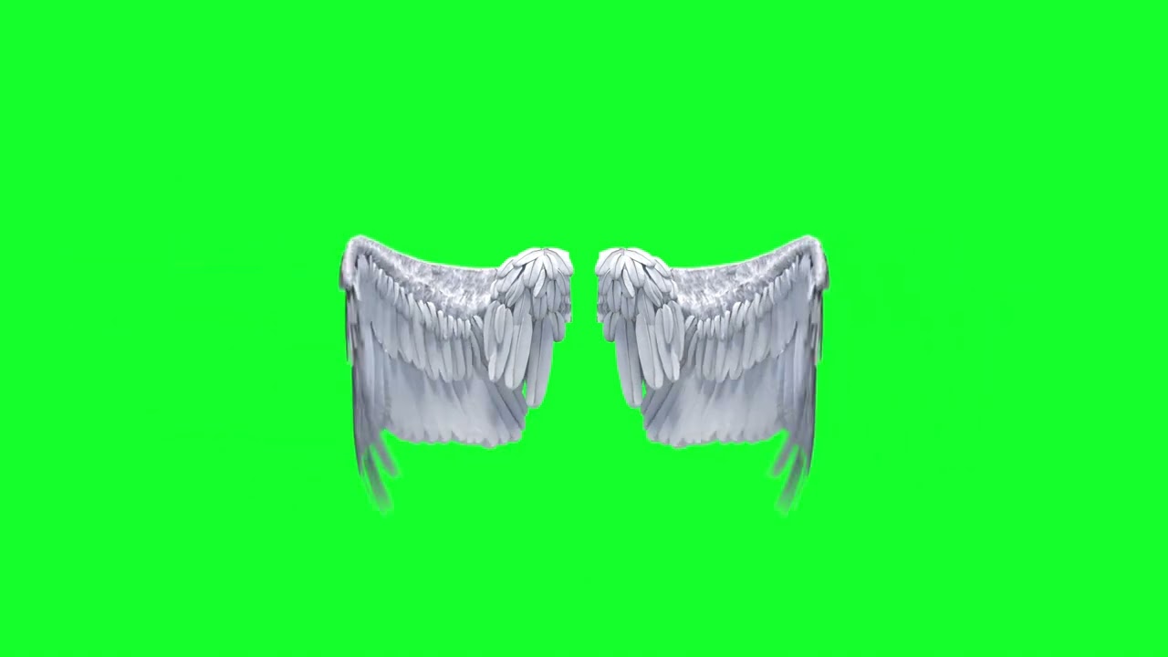 White Wings 💸 Green Screen 💯 VFX Effect Video 📸 No Copyright ©️ 