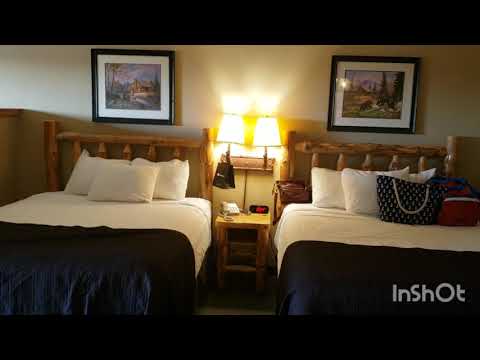 Great Wolf Lodge Niagara Falls Majestic Bear Suite - Room 3096