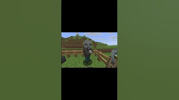 What Happens When You Name A Vindicator Johnny? #minecraft #shorts