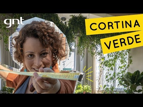 Vídeo: Plantas Para Janelas Do Norte