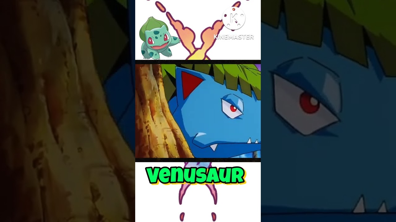 Bulbasaur Evolution 🧬
