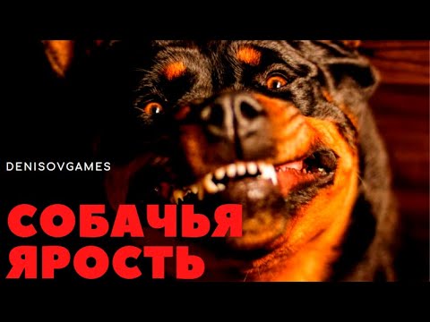 СОБАЧЬЯ ЯРОСТЬ ( Странная история )