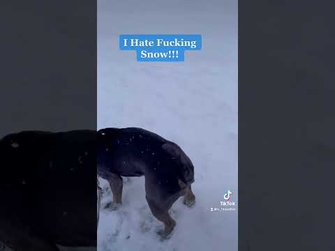 I Hate Fucking Snow