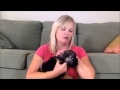 My Puppy Wont Stop Biting Me My Puppy Wont Stop Biting Me