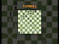 quantum physics in chess #chess