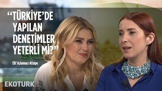 Gıda Zehirlenmeleri Nasıl Olur? Elif Aşlamacı Attepe Serpin Alparslan