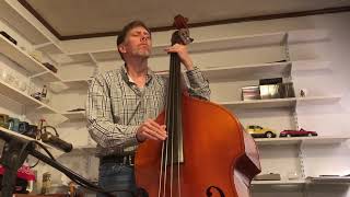 Celebrity Alison Krauss It Wouldn't Have Made Any Difference Play-Along Net Worth