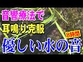 耳鳴り改善向け音響療法3】自律神経を整える音８時間 耳鳴り 睡眠 不安感
