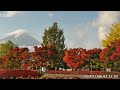 富士河口湖紅葉まつり会場 朝の風景2023年11月6日