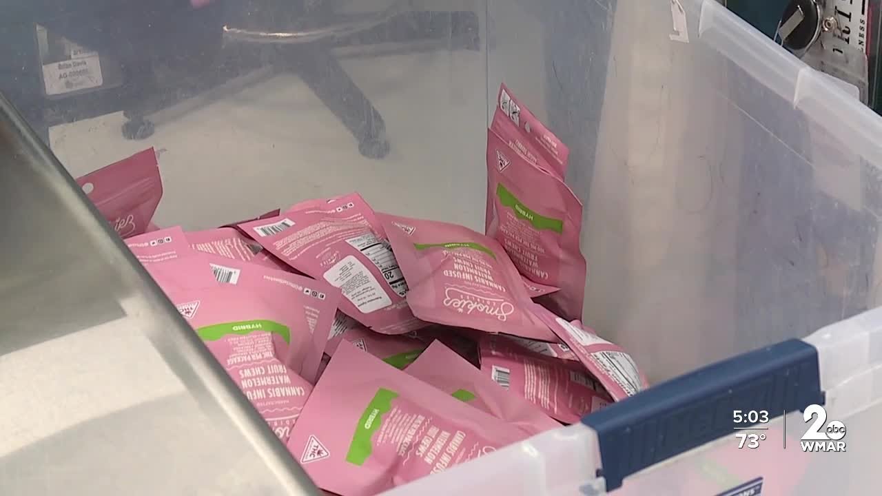 Cannabis processing plants increasing production with legalization looming