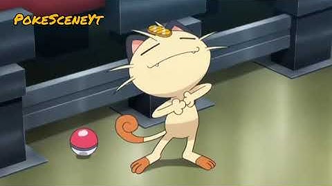 Pikachu Almost Caught Meowth [Pokemon Journeys]