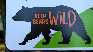 Six bears euthanized in NC after home break-ins