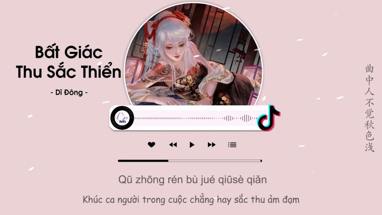 Video YouTube