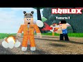 Yeni Tabanca!! Yumurta Fırlatıyor - Panda ile Roblox Mad City