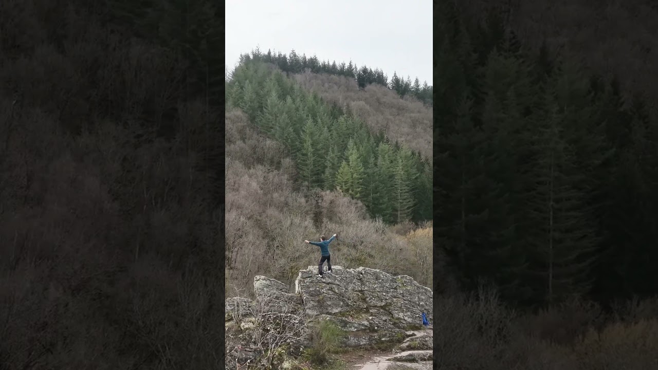 Le Hérou La Roche en Ardenne