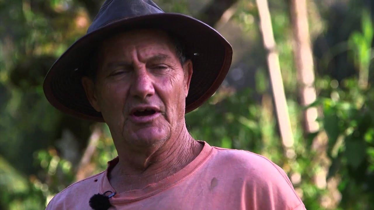 Organic Taro Farming with Charlie Reppun and Paul Reppun