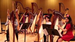 Harp Danza De Luzma- Alfredo Rolando Ortiz