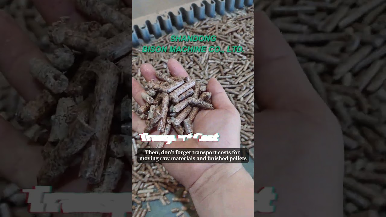 Key Costs of Building a Biomass Pellet Plant | YULONG Pellet Machine | BISON MACHINE