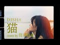【初挑戦】DISH//さんの『猫』を歌ってMV風に作ってみた！【ゆあてぃー】