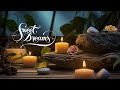 Relaxing Sleep Music for Stress Relief & Insomnia - piano music for sleeping, relaxing song