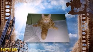 Удачный ракурс (фотоприколы, удачный ракурс, фотоприколы и демотиваторы) Удачный ракурс (фотоприколы, удачный ракурс, фотоприколы и демотиваторы)