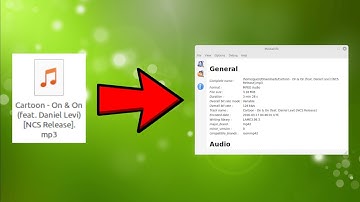 How To View Media File Metadata - Linux Mint Cinnamon Desktop (2025)