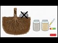 CS1202 Agronomy of Rubber Animation Sinhala