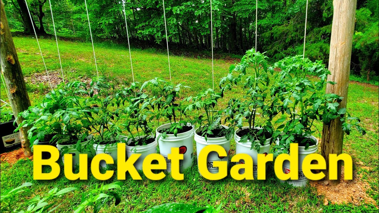 Bucket Garden YouTube