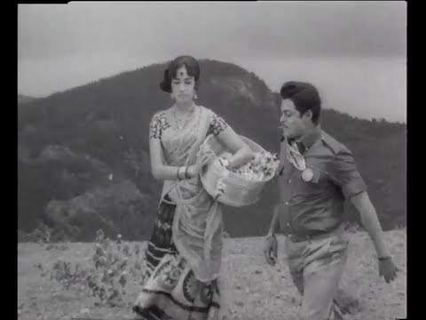 Pookkadai Pakkam Song Lyrics on YouTube