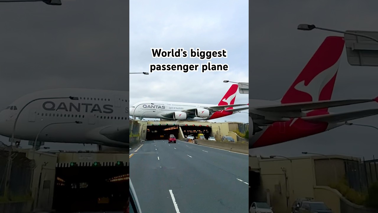 Driving below the world&rsquo;s biggest passenger plane ✈️ #aviation #planespotting #a380 #airbus #qantas