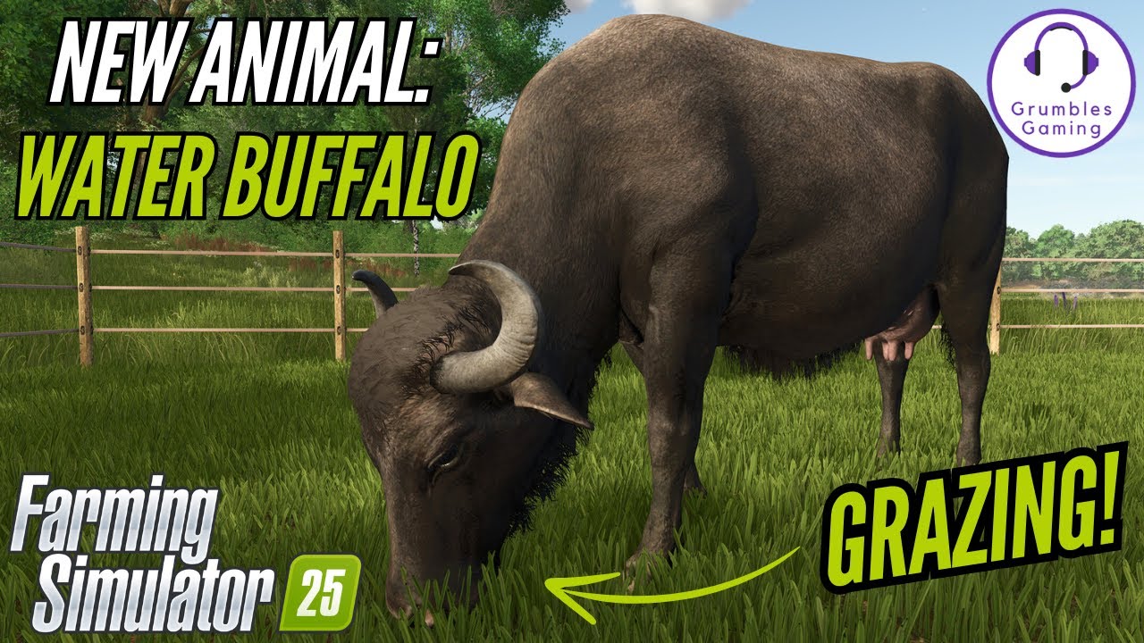 WATER BUFFALOS AND LIVESTOCK GRAZING | Farming Simulator 25 Preview