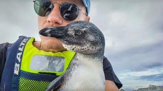 Baby Penguin Rescue! - Ep.3