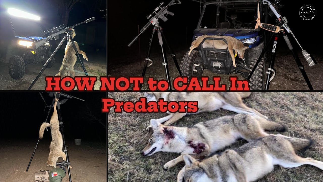 Wind Calling Predators HOW NOT to CALL In Predators!! Thermal Hunting!! - YouTube