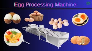 Automatic egg processing machine egg washing machine egg grading machine egg dryer #egg #machineline