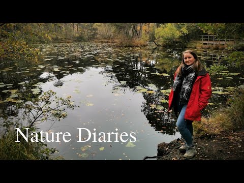 Exploring East Devon! Bystock Pools & Squabmoor Reservoir - Nature Diaries