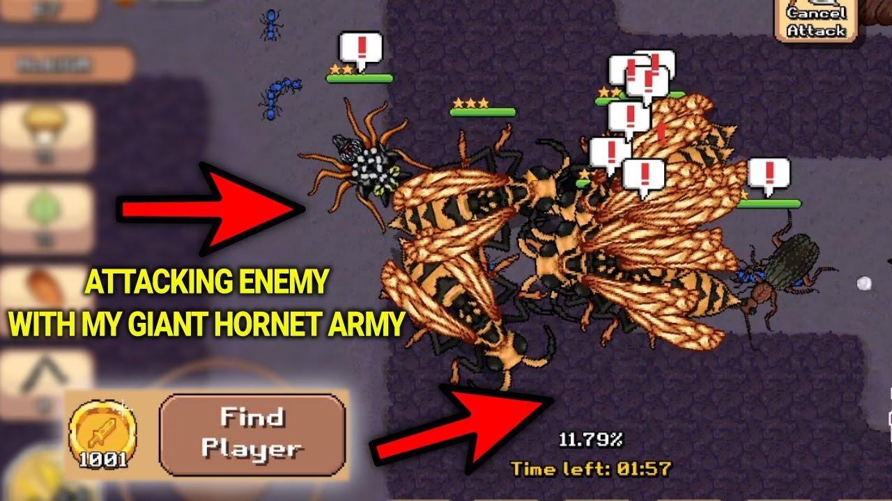 PVP with my Asia Giant Army 1 Pocket Ants YouTube