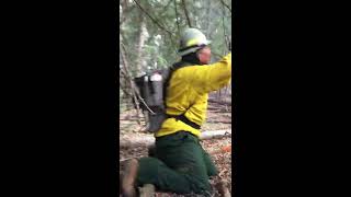 Weston Pass Fire Tornado