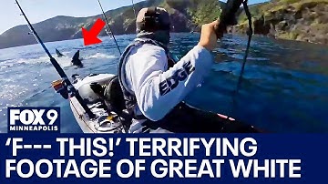 Terrified kayaker films great white shark stalking him [RAW]