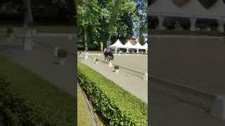 Klosterhof Medingen Sommerturnier Reitpferdeprüfung 4-Jährige Juni 2024
