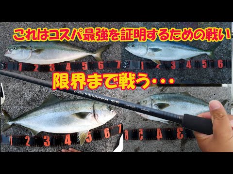 24コルトスナイパーSS コスパ最強証明のため青物バトルしまくり