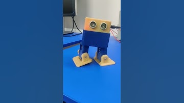 Otto Dancing Robot