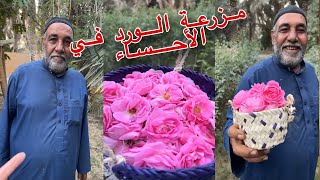 حسين البقشي في مزرعة الورد | علي الشهابي | سنابات بوحسين الحساوي