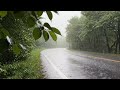 Heavy Rain on Forest Road with Dripping Leaves  Relaxing Rain Sounds for Sleep &amp; Focus