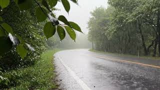 Heavy Rain on Forest Road with Dripping Leaves  Relaxing Rain Sounds for Sleep &amp; Focus