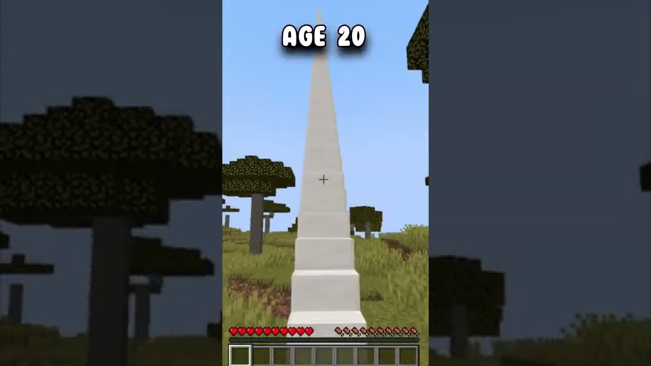 Minecraft Traps At Different Ages (World's Smallest Violin)